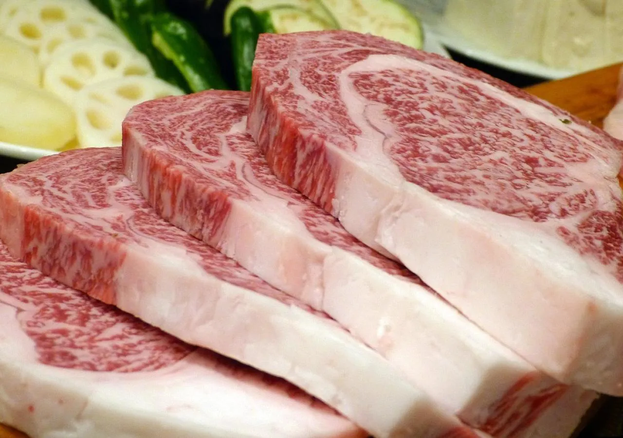 Carne ecológica, alimentación